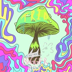 Trip
