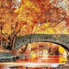 Fall Ft. Jordan Gray