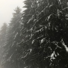 cab/o3 Hendrik Meyer - Dark Behind It Rose The Forest