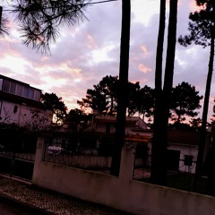 TVILL - Snake's Song