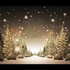 Silent Anticipation Of Christmas