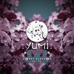 T:Base - Special Love (Yumi Recordings)