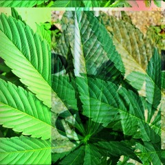 I Do It For The Wubs Mini-Mix (001)