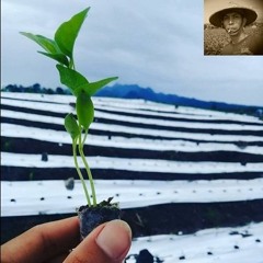 Doa Sepasang Petani Muda