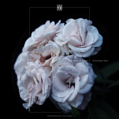 PREMIERE : Milo Raad & d_func. - Irrational Fear [Northallsen Records]