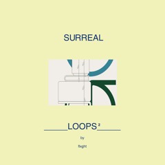FLXGHT - SURREAL LOOPS²