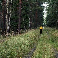 Sataisha - How High **PREVIEW**