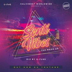 Senti Vibes | Mix By G Funk | Kalikwest Worldwide