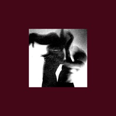 The Prophecy (DVNTT019)