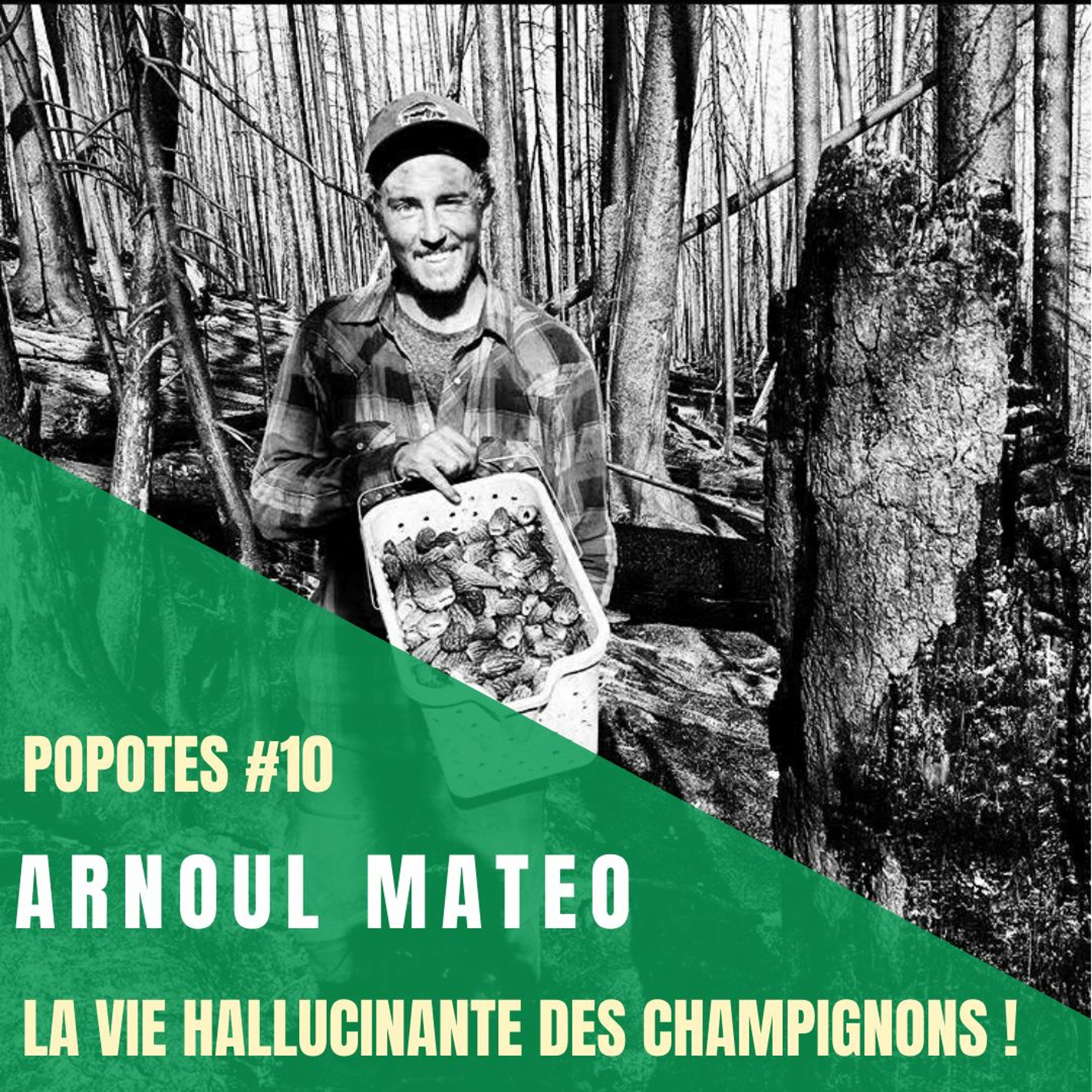 POPOTES