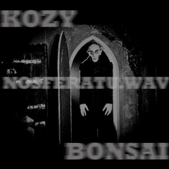 KOZY x BONSAI - IchLachEuchAus.wav [Prod by Knuckles]