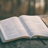 Whyte House Daily Devotional Bible Reading Episode #10: Genesis 13 & 14 and Mark 10