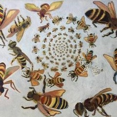 The Custom Of Bees by Joey Crane