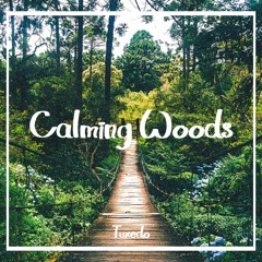 Calming Woods