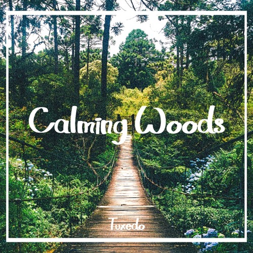 Calming Woods