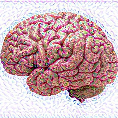 Pineal, I
