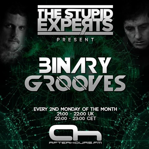 The Stupid Experts - Binary Grooves 020