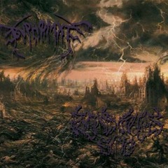 Look Into The Sky, There Is No Spotlight