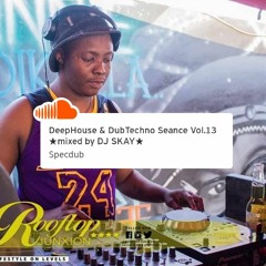 DeepHouse & DubTechno Reunion Vol.13 ★mixed by DJ SKAY★