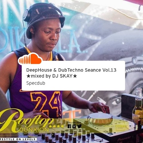 DeepHouse & DubTechno Reunion Vol.13 ★mixed by DJ SKAY★