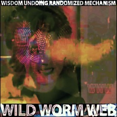 Wisdom Undoing Randomized Mechanism [A Tribute To Jeff Noon]