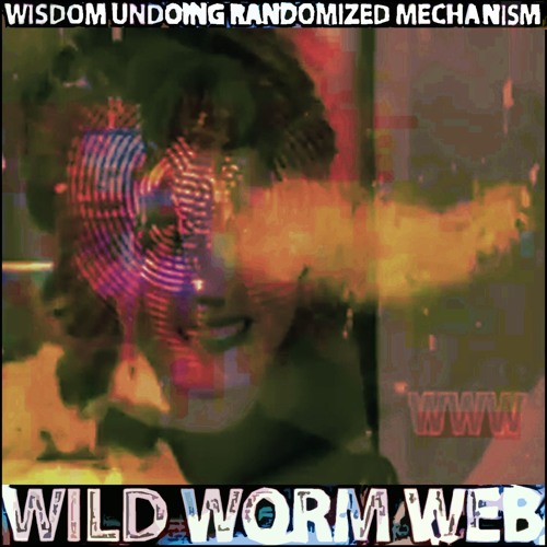 Wisdom Undoing Randomized Mechanism [A Tribute To Jeff Noon]