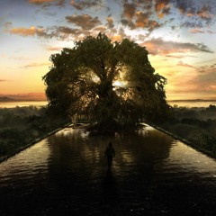 Coccolino Deep - The Fountain