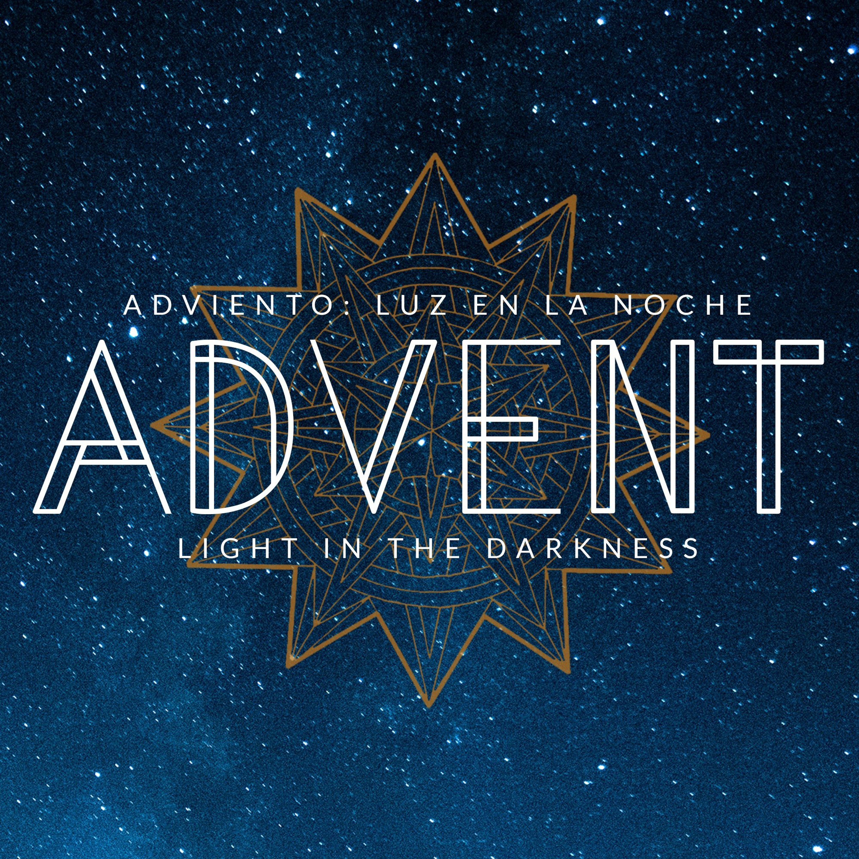 The Living Tree (The Second Sunday of Advent) — Deacon Casey Solgos