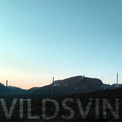 VILDSVIN - Yet Unnamed EP Sampler (DEC 2019)