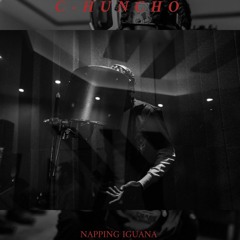 Napping Iguana (Freestyle)