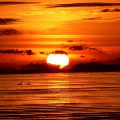 Teu abraço - William Ronchi