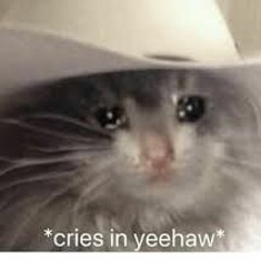 Emotional Ram Ranch(Jackson Parodi)