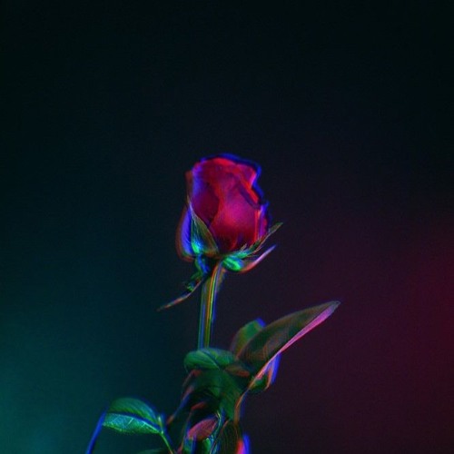 For You (Lofi)