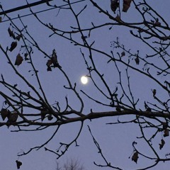 Make Me Your Queen - Declan Mckenna (slowed)