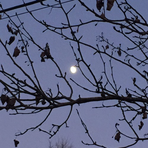 Make Me Your Queen - Declan Mckenna (slowed)