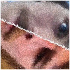 No Surrender! (Monster Jam)