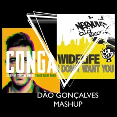 Tommy L Feat. Adryana R. Widelife Filipe Guerra A.V. - Conga I Don't Want You (Dão Gonçalves Mashup)