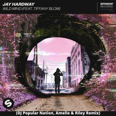 Jay Hardway - Wild Mind (feat. Tiffany Blom) (DJ Popular Nation, Amélie & Riley James Remix)
