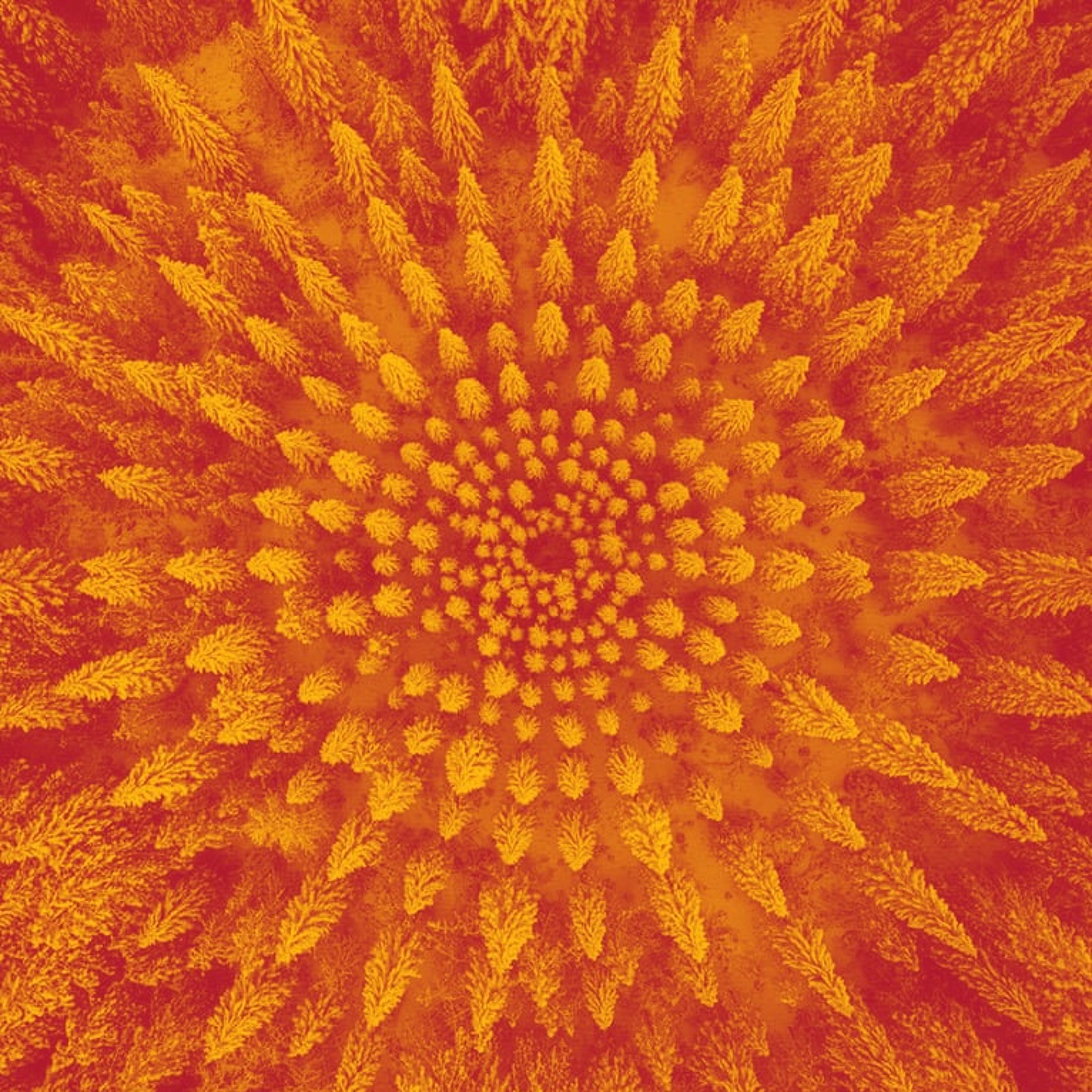 B.elle.musicArt N°87 episode artwork