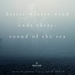Wind Gives Birth to Waves(naviarhaiku309)