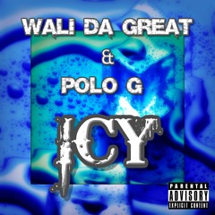 Polo G - Icy