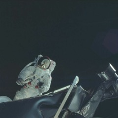 Storm Before The Calm