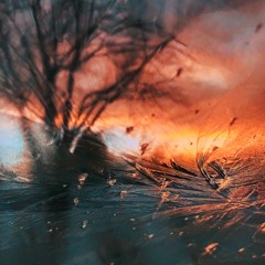 Life Tree