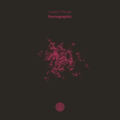 Gaston Ponte - White Night (Original Mix)