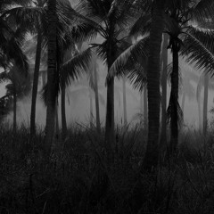 PlayerOne December 2019.  1 Hour Dj SEt @ Inside Your Head Festival FNQ*  .