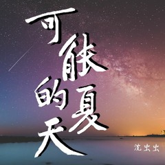 沈虫虫 - 可能的夏天【動態歌詞/Lyrics Video】