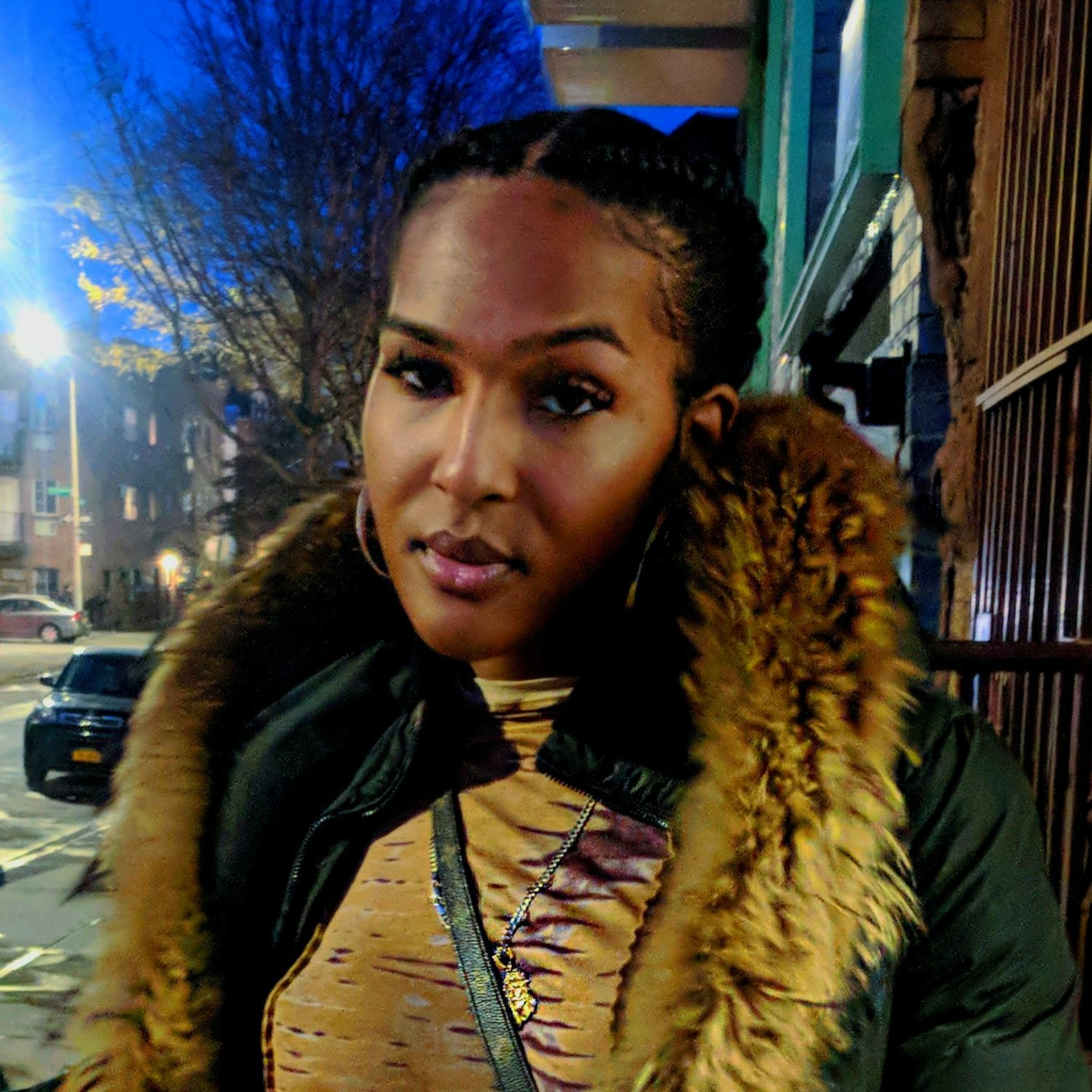Bodega Dollz