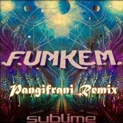 SREAL - Funkem (Pangifrani Remix)