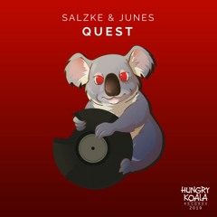 Salzke, Junes - Quest (Original Mix)