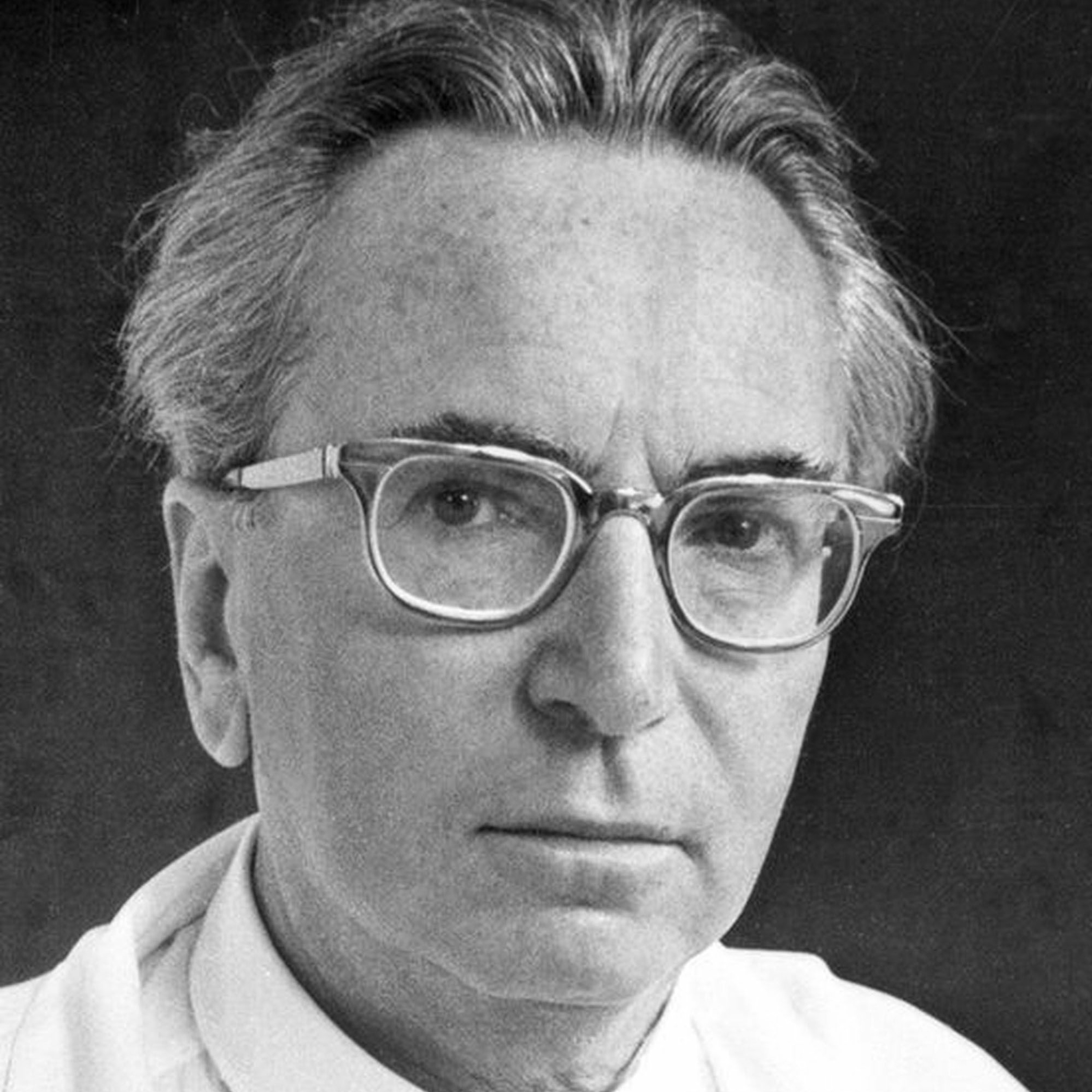 Человек в поисках смысла. Жизнь и учение Виктора Франкла. Лекция. Леонид Мебель. Москва episode artwork